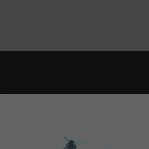 iFlight Mach R5 HD 215mm 5inch 6S FPV BNF with Caddx Nebula Nano Digital HD System / Beast F7 55A AIO board / XING2 2506 1850KV 7 iFlight Mach R5 HD 215mm 5inch 6S FPV BNF with Caddx Nebula Nano Digital HD System / Beast F7 55A AIO board / XING2 2506 1850KV - Image 7