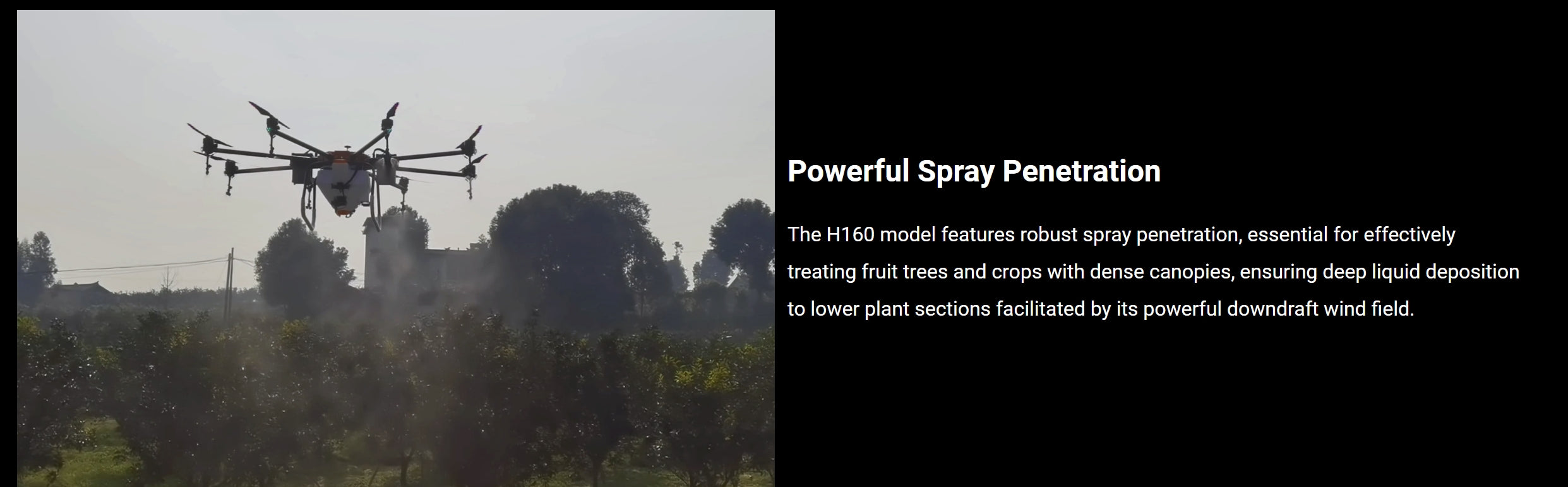 H160 Landwirtschaftsdrohne – 8 Achsen 72L 82L Spray / 80KG Spread X8 Motor Skydroid H12 14S 42000mAh Batterie Agri Drone 13 H160 Agricultural Drone, Powerful Spray Penetration The H160 model features robust spray penetration, essential for treating fruit