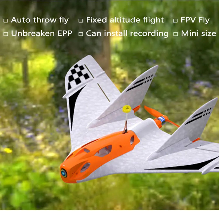 Auto throw fly D Fixed altitude flight D FPV Fly D Unbreaken EPP