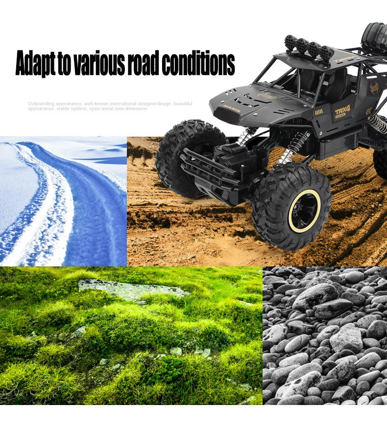 ZWN 1:12 / 1:16 4WD RC Car, dcjubhul appeararco stable svsicm open 