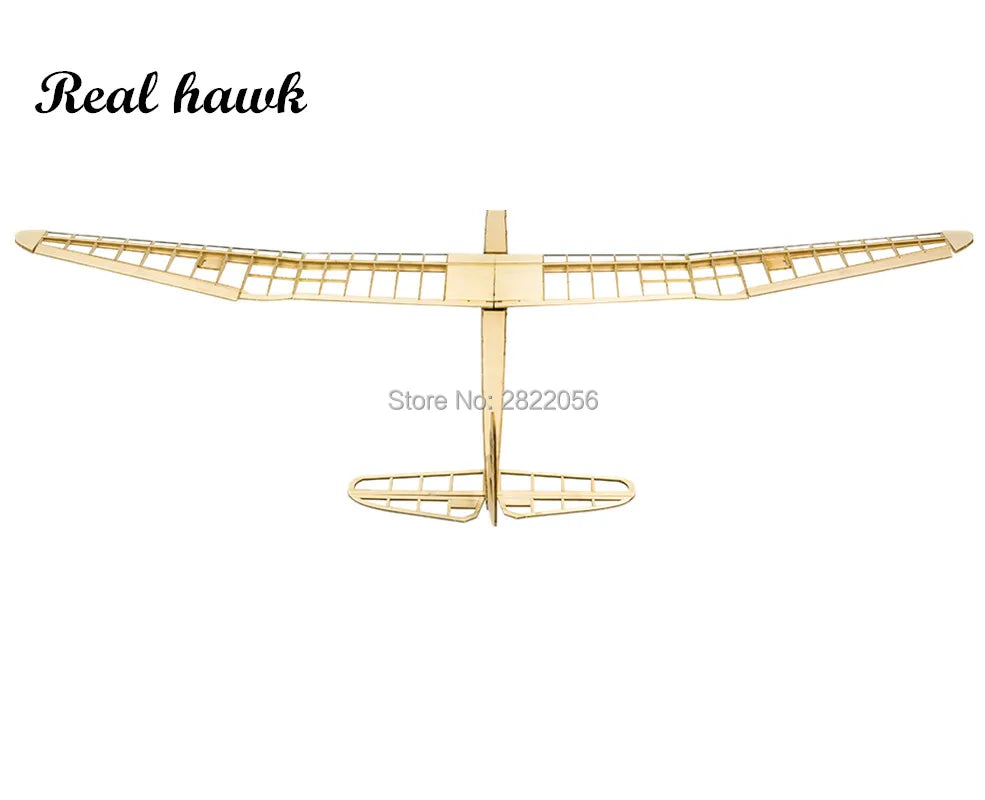 RC Plane Laser Cut Balsa Wood Airplanes Warranty : n