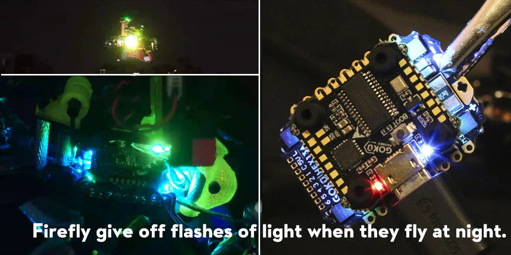 fireflies give off flashes oflight when fly at night: LQ4o