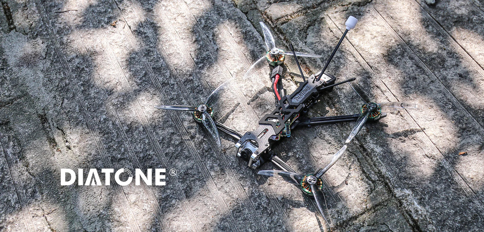 DIATONE Roma L5 4S Freestyle Multirotors 6S PNP Camera